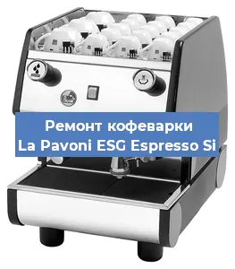 Чистка кофемашины La Pavoni ESG Espresso Si от накипи в Нижнем Новгороде